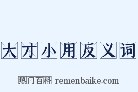大才小用反义词是什么意思的图片